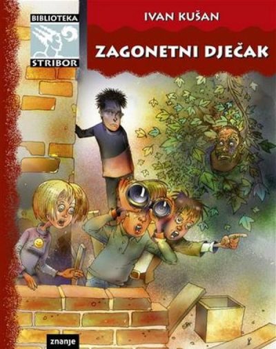 Zagonetni dječak